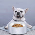 Dog Food Bowl Large Capacity Pet Feeder Detachable Stainless Steel Weighing Bowl Pet Scale - Minihomy