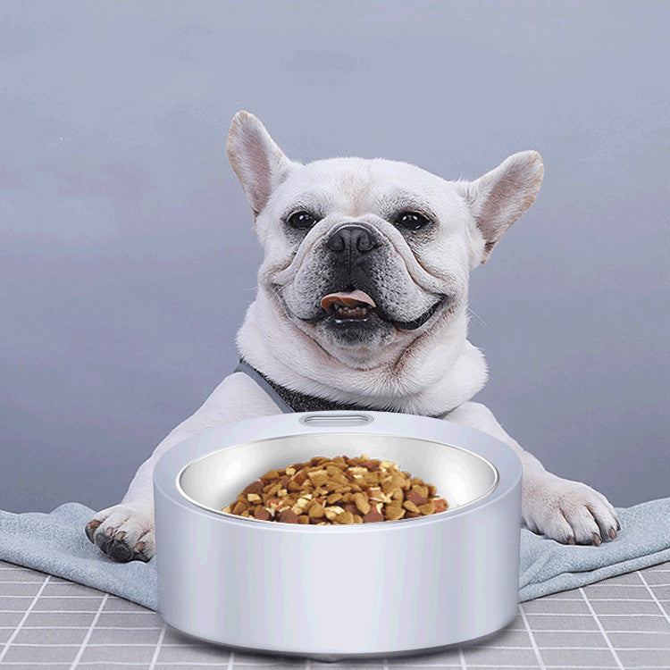 Dog Food Bowl Large Capacity Pet Feeder Detachable Stainless Steel Weighing Bowl Pet Scale - Minihomy