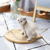 Board Scratching Post Mat Wall Mounted Scratcher Pad with Suction Cup Toy - Minihomy