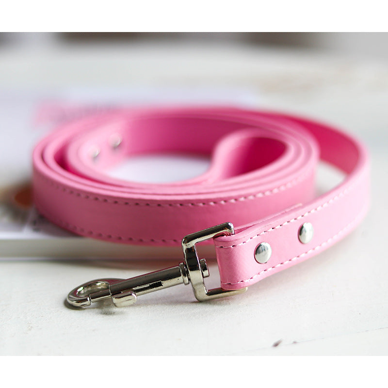 Pet Leash Collar - Minihomy