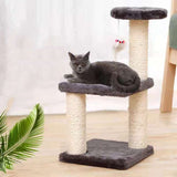 Pet Supplies Cat Toy Chamfer: Keep Your Feline Friend Entertained - Minihomy