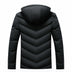 Men's Casual Cold-proof Cotton-padded Clothing - Minihomy