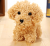 Pet doll teddy dog toy - Minihomy