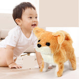 Electric Plush Animal Toys for Kids - Corgi, Teddy Bear, Bunny - Minihomy