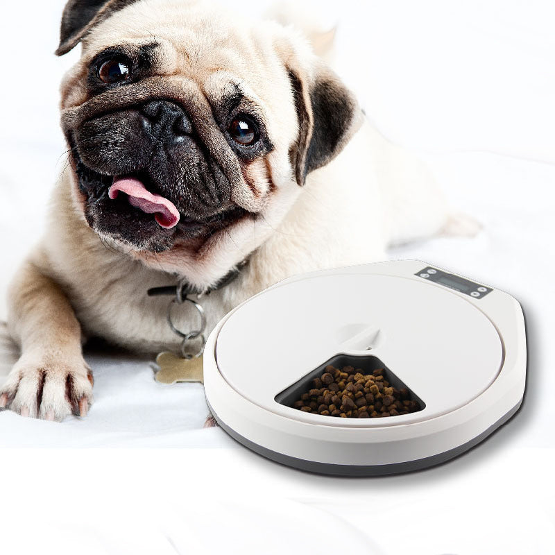 Pet Automatic Multi-grid Feeder - Intelligent Timing Bowl for Cats and Dogs - Minihomy