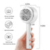 One-Key Self-Cleaning Hair Brush for Women - Curly Anti-Static Airbag Massage Comb & Professional Detangling Tool - Minihomy