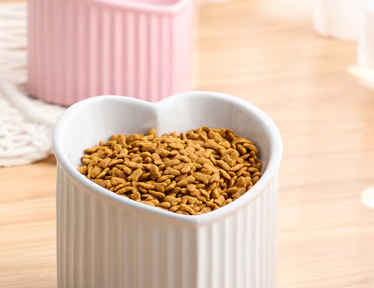 Pet Ceramic Bowl - Elevated Design for Healthy Feeding - Minihomy