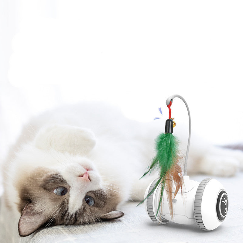 Interactive Cat Toy With Interchangeable Heads  Pet Feather Toys - Minihomy