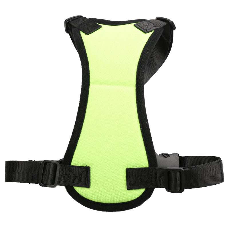 Car seat belts for pets - Minihomy