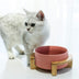 Ceramic Cat Food Bowl with Drinking Bowl for Cats - Minihomy