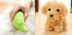 3 In 1 Pet Steam Brush Cat Dog Cleaning Steamy Spray Massage Beauty Comb Hair Removal Grooming Supplies Pets Accessories - Minihomy