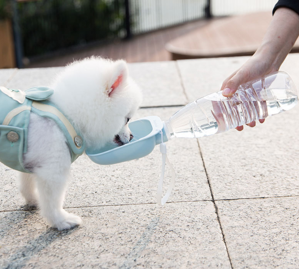 Portable drinking water bottle cup - Minihomy