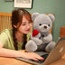 Lovely Hug Roses Teddy Bear Plush Pillow - Soft Stuffed Animal Dolls - Minihomy