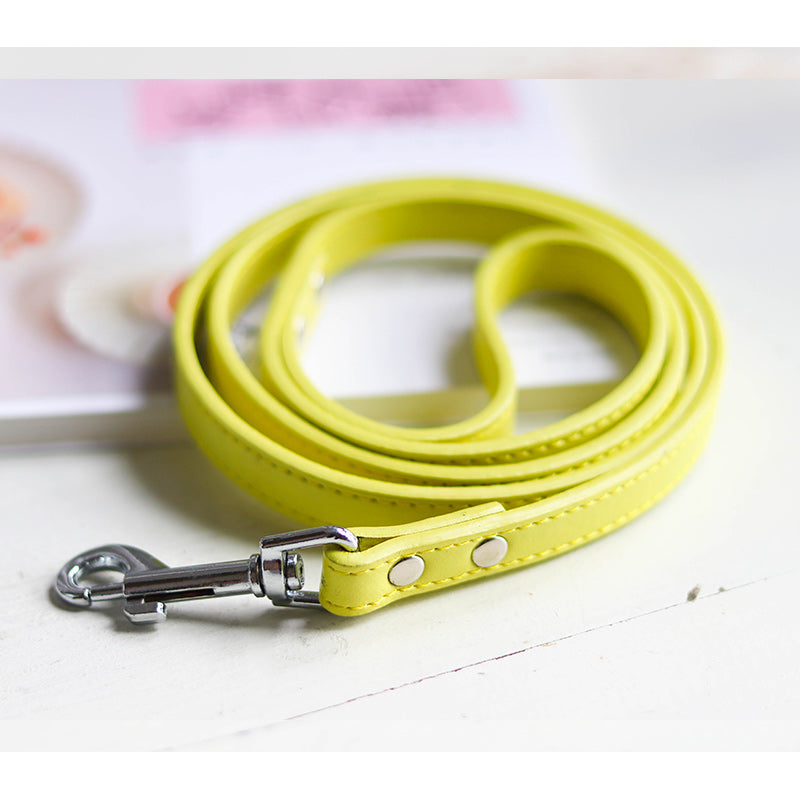 Pet Leash Collar - Minihomy