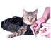 Pet Bathing Bag Dog Carrying Cat Cut Nails - Minihomy