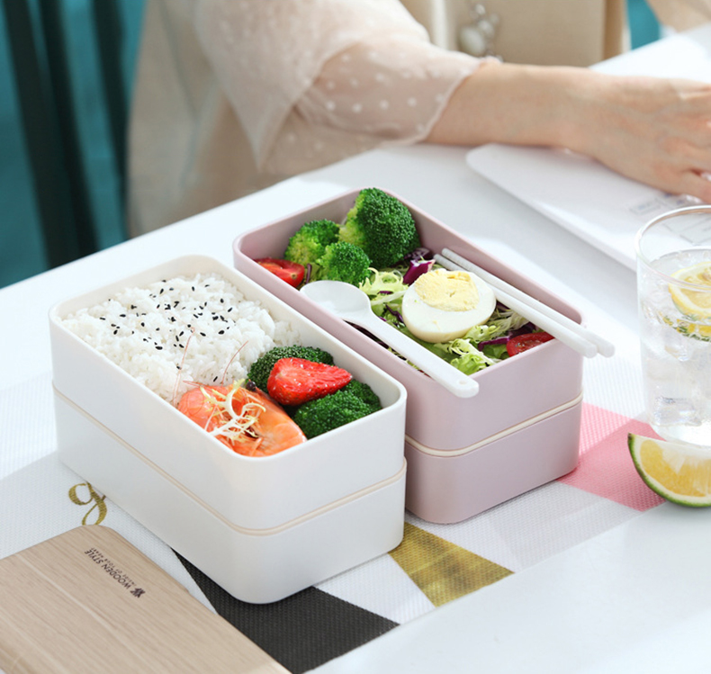 Japanese bento box office worker ins double separated lunch box - Minihomy