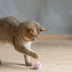 Automatic Moving Bouncing Rolling Ball Smart Cat Toy Ball Self-Moving Kitten Toy For Indoor Cat Kitten - Minihomy