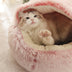 Plush Shell Nest Cat Litter: Keep Your Feline Friend Cozy in Winter - Minihomy