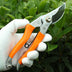 German Labor-saving Scissors Pruning Gardening Tools - High-Quality Shears - Minihomy