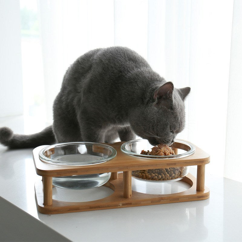 Glass Cat Food Bowl - Elevated Pet Feeder for Cats - Minihomy