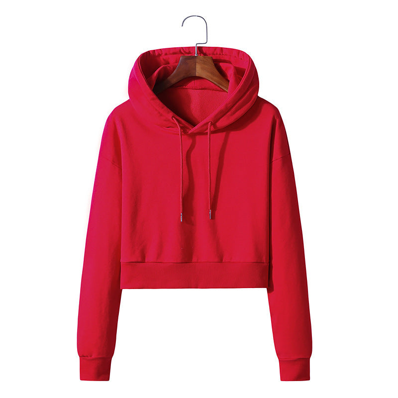 Cotton Hooded Pullover Short Sweater Exposed Navel: Cozy Comfort with a Stylish Twist - Minihomy