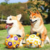 Dog Interactive Football Toy - Pet Sporty Bite Chew Teething Ball - Minihomy