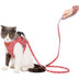 Cat vest harness traction rope - Minihomy