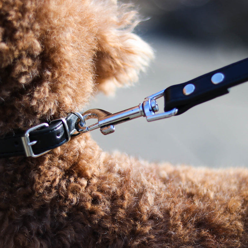 Pet Leash Collar - Minihomy