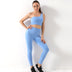 Gym Wear Sports Bra Yoga Wear Set - Minihomy