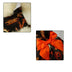 Halloween Small Dog Clothes Pet Dress Pumpkin Print Dress Chihuahua Yorkie Mesh Dress - Minihomy