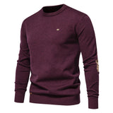 Men's Casual All-match Round Neck Sweater - Minihomy