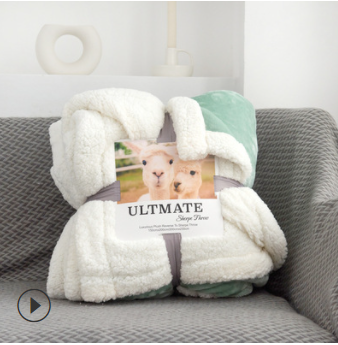 Double-layer Thick Warm Lamb Wool Blanket - Minihomy