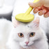 Pet Cat And Dog Hair Brush - Minihomy