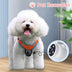 Pet Tracker Collar Camera: Record Your Dog or Cat's Adventures - Minihomy