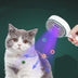 Hair Brush For Cat Sterilization Cleaner Dog Pet Supplies - Minihomy