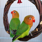 Bird Standing Frame Rattan Ring Chewing Toy Bird Cage - Minihomy