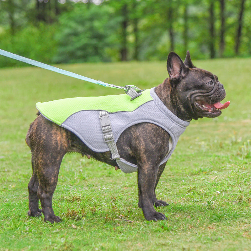 Yazlık Evcil Hayvan Köpek Soğutma Yeleği - Açık Hava Yürüyüşü İçin Isıya Dayanıklı Giysiler