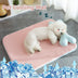 Breathable Cooling Dog Bed Mat for Small & Medium Dogs & Cats - Non-Slip, Summer Pet Supplies - Minihomy