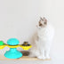 Cat Rotating Windmill Toy - Scratching, Teeth Cleaning, & Fun! - Minihomy