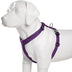 Dog Leash, Medium And Large Dogs, Anti-Take Off, Dog Leash, Pet Products, Chest Strap - Minihomy