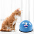 Cat plate toy spin catch cat toy - Minihomy