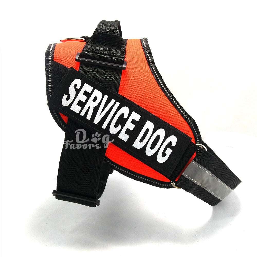 Dog chest strap - Minihomy