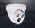 Surveillance camera night vision monitor