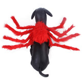 Pet Cat Dog Halloween Creative Spider Costume - Minihomy