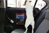 Car pet mat Side door anti-scratch anti-kick Oxford cloth protection mat Car dog pad - Minihomy