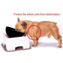 Pet cat dog table dog table - Minihomy