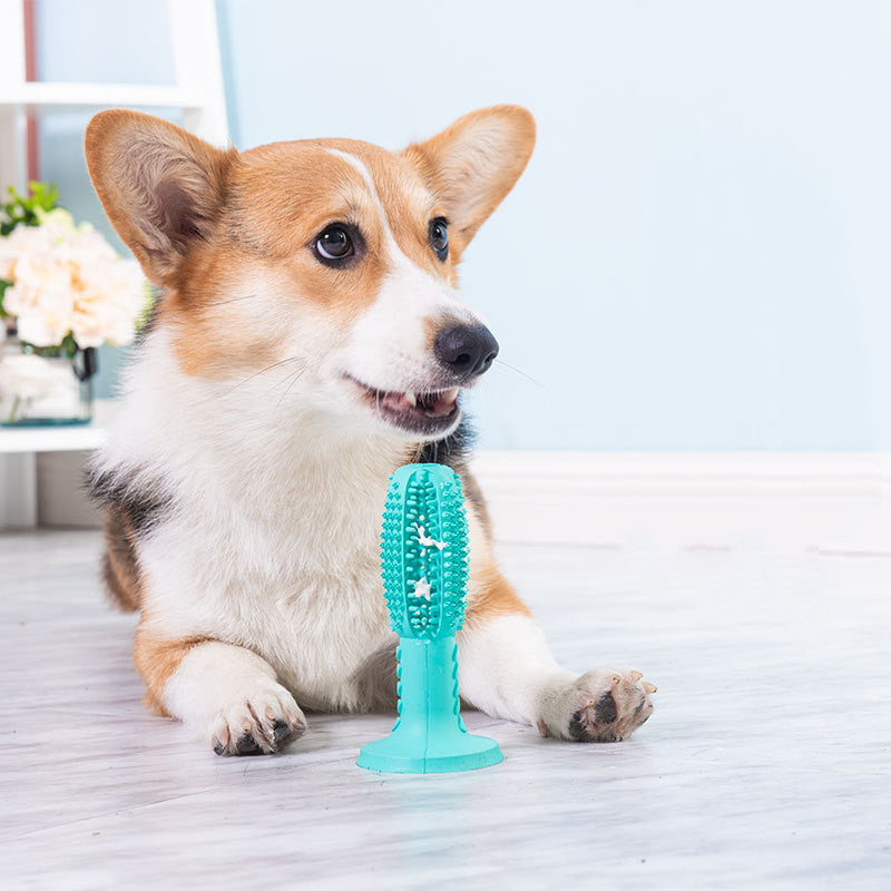 Dog Toothbrush Dog Molar Teeth Cleaning Stick Leaking Food Device Bite Resistant Dog Toy - Minihomy