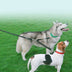 Double-Headed One-To-Two Nylon Dog Leash Reflective - Minihomy