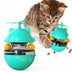 Tumbler Turntable Toy Spilled Ball Pet Toy