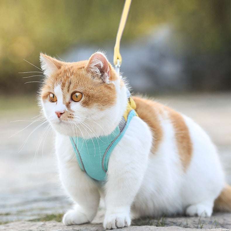 Cat Traction Rope Home Vest-Style Chest Harness Cute Anti-Stroke Cat Walking Rope - Minihomy